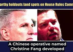 Image result for Christine Fang Swalwell