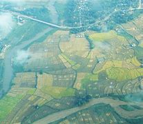 Image result for Paddy Field