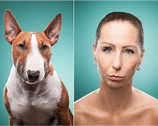 Image result for Pets Look