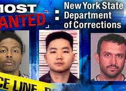 Image result for Pictures of Wanted Suspects in New York City