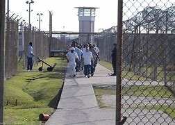 Image result for Angola Prison Louisiana