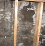 Image result for Black Mold Removal in Attic
