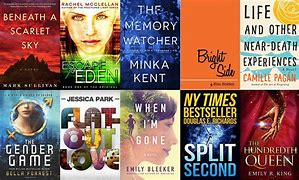 Image result for Free Kindle Books the Perfect