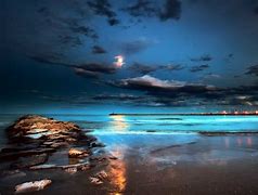 Image result for Beach at Night Wallpaper iPhone