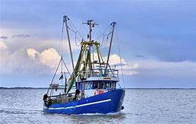 Image result for Block Island NY Cod Fishery