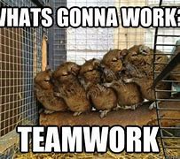 Image result for WoW Amazing Teamwork