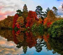 Image result for Fall Computer Wallpaper HD