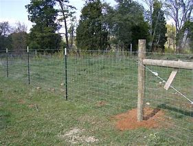 Image result for Goat Wire Fence