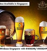 Image result for Singapore Beer Brands