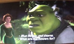 Image result for Shrek Arrow Scene Memes