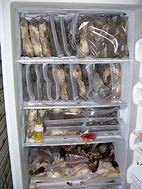 Image result for Small GE Freezer