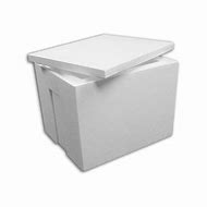 Image result for Foam Ice Box