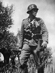 Image result for WW2 SS Soldier