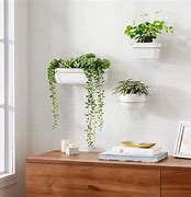 Image result for wall mounted plant holders