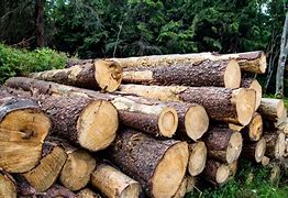Image result for Stacked Wood