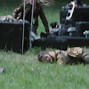 Image result for The Hunger Games Arena Scenes