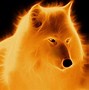 Image result for Cool Fire Wolf Profile Pics