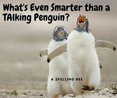 Image result for Penguin Humor