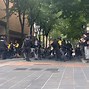 Image result for Portland Protest March Images