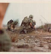 Image result for Graphic Gore Vietnam War
