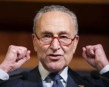 Image result for Chuck Schumer Logo