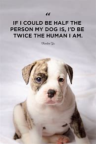 Image result for Dog Love Quotes