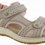 Image result for SAS Shoes Coupons