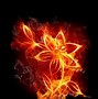 Image result for Black and White Fire Flower