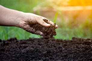 Image result for Raised Bed Booster Kit - Soils & Fertilizers - Soil Amendments - Gardener's Supply