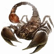 Image result for Metallic Scorpion