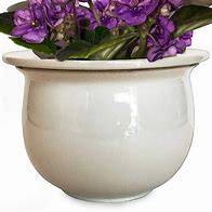 Image result for Find Violet Planters