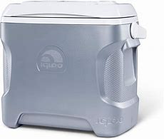 Image result for Small Electric Ice Chest