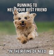 Image result for Quotes Memes About Friends