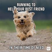 Image result for Funny Friend Comments