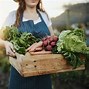 Image result for Sustainable Food