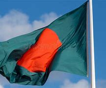 Image result for National Flag Day of Bangladesh