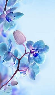 Image result for Kids Floral Tablet Wallpaper