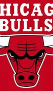 Image result for Chicago Bulls Logo Evolution