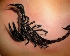 Image result for Scorpion Tattoo Designs Black and White
