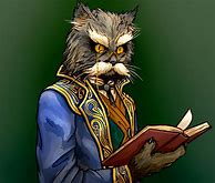 Image result for Tabaxi Wizard