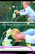 Image result for Baby Chicken Memes with Guns