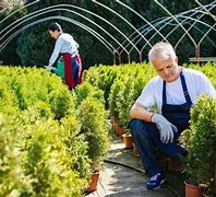 Image result for Local Nurseries Near Me