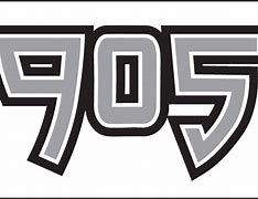 Image result for Raptors 905 Logo