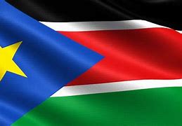 Image result for Flag of Sudan