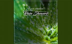 Image result for Rainforest Shower