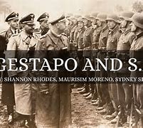 Image result for The SS and Gestapo