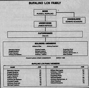 Image result for Buffalo Crime Family