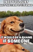 Image result for Funniest Dog Memes Clean
