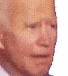 Image result for Portrait of Joe Biden