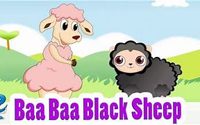 Image result for Black Sheep Song